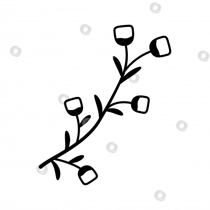 Скачать Нарисованный от руки эскиз цветка, выделенного на белом фоне. Простой стиль каракулей. фотосток Ozero