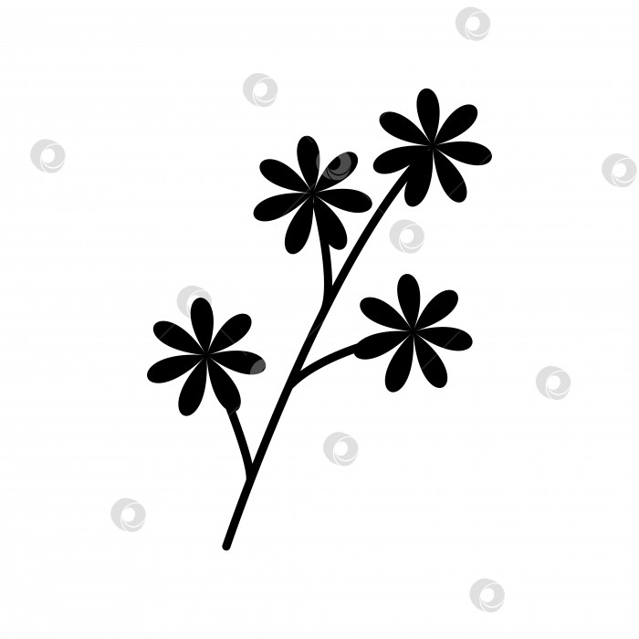 Скачать Нарисованный от руки эскиз цветка, выделенного на белом фоне. Простой стиль каракулей. фотосток Ozero