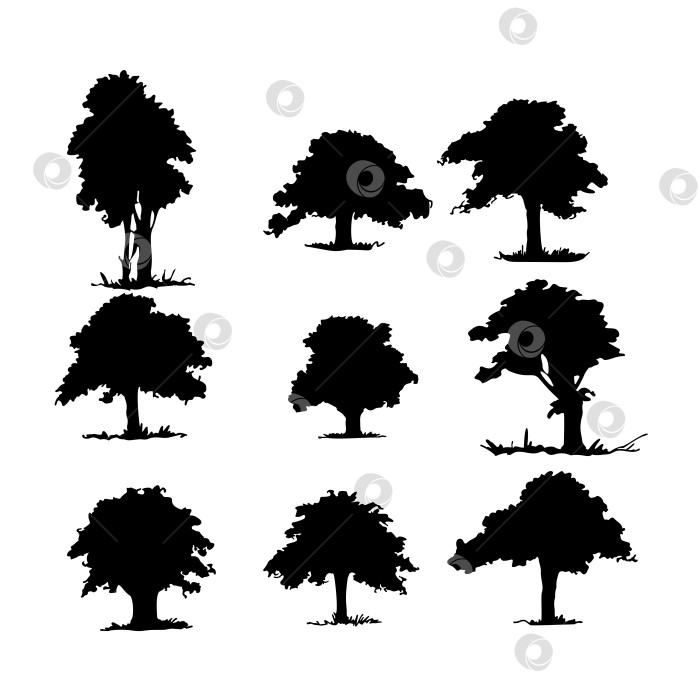 Скачать Набор силуэтов деревьев разной формы фотосток Ozero