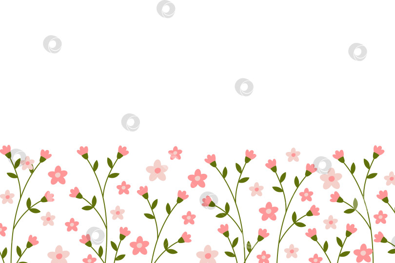 Скачать Горизонтальный ботанический фон с каймой из нежных распускающихся розовых цветов. фотосток Ozero