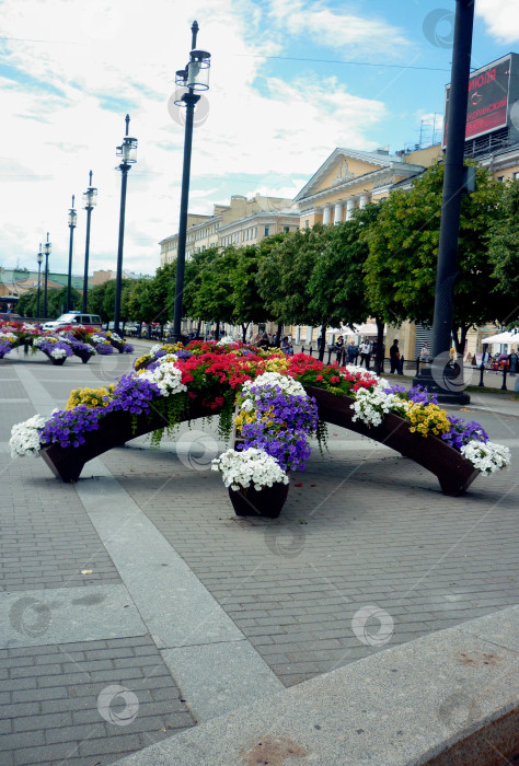 Скачать Красивая клумба в городе фотосток Ozero