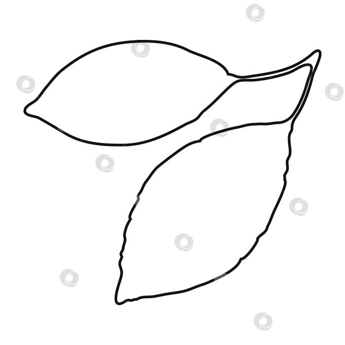 Скачать Эскиз вишневых листьев. Векторная иллюстрация фотосток Ozero