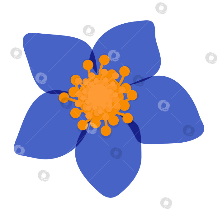 Скачать Нежный голубой цветок. Векторная иллюстрация фотосток Ozero