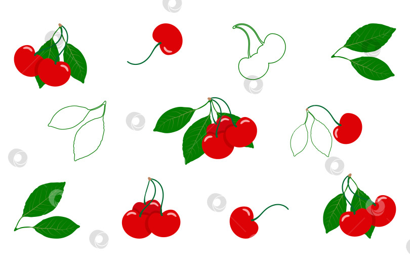 Скачать Набор веточек спелой вишни на белом фоне. Векторная иллюстрация фотосток Ozero