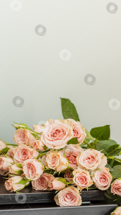 Скачать Романтическая праздничная композиция из розовых роз на деревянном столе с пространством для копирования фотосток Ozero