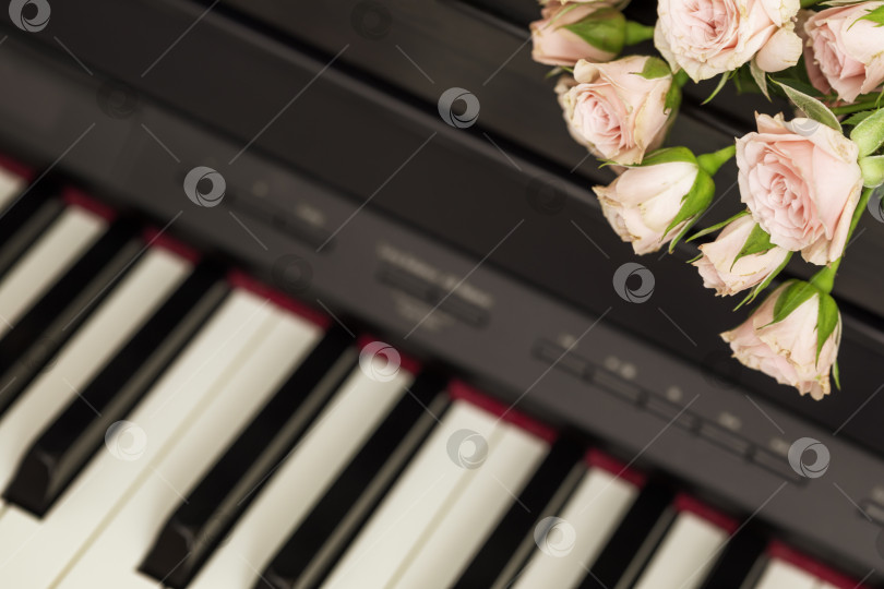 Скачать Романтическая праздничная композиция с розовыми розами на фортепиано фотосток Ozero