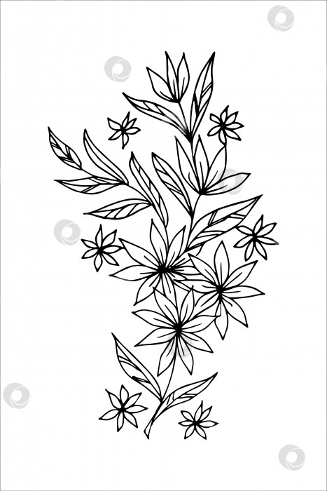 Скачать Нарисованные от руки веточки цветов в стиле каракули, черно-белая векторная иллюстрация фотосток Ozero