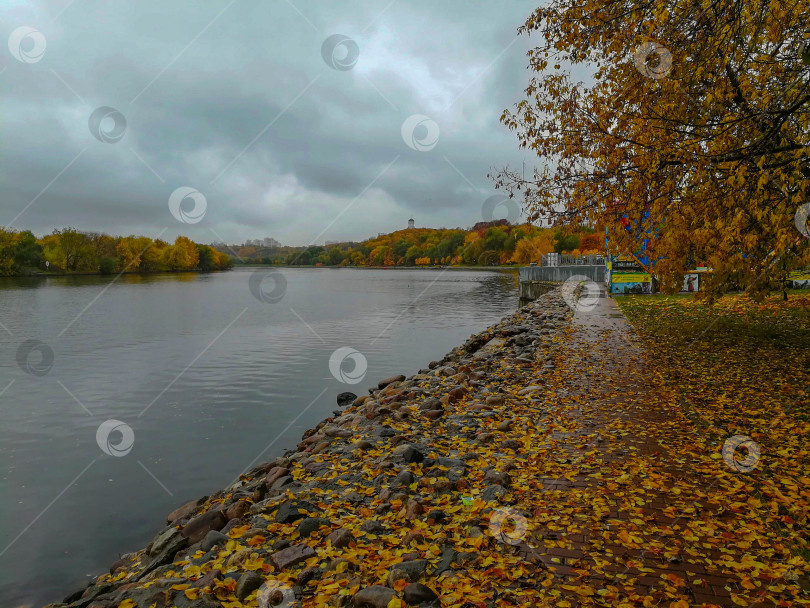 Скачать Осень в парке фотосток Ozero