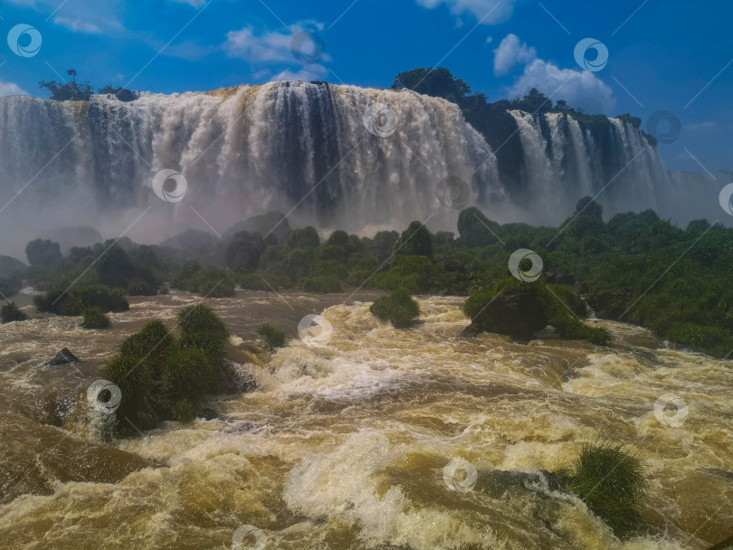 Скачать Мощные водопады Игуассу фотосток Ozero