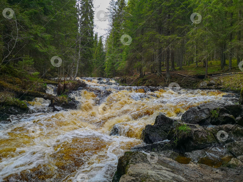 Скачать Горная река в Карелии фотосток Ozero