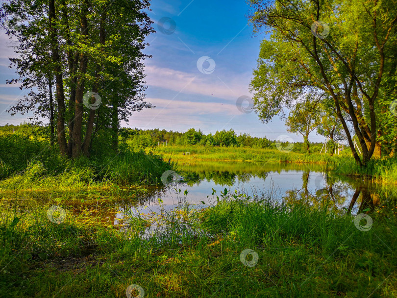 Скачать Тихий пруд фотосток Ozero