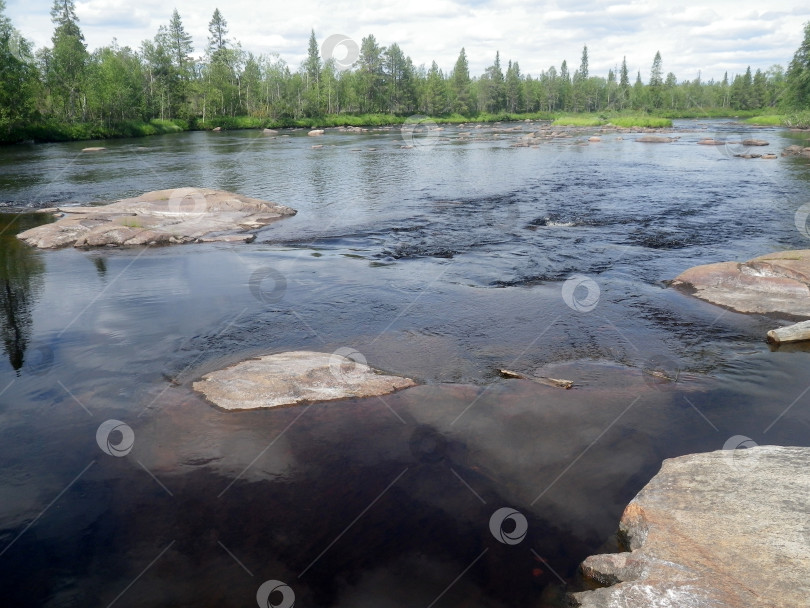 Скачать Река Поньгома в Карелии фотосток Ozero