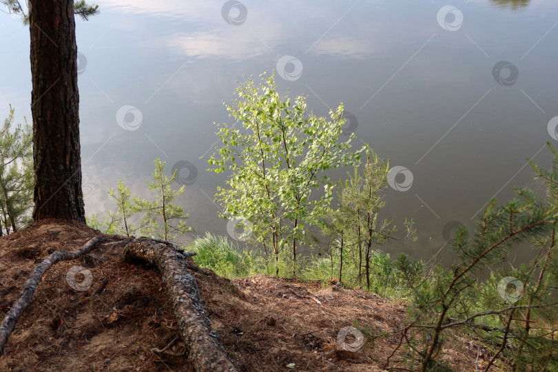 Скачать Летом на реке фотосток Ozero