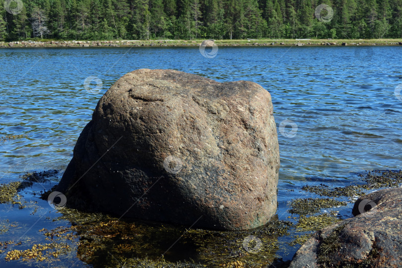 Скачать Причуды Севера фотосток Ozero