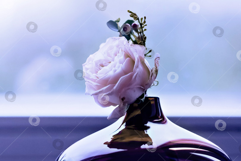 Скачать Розовая роза в красной вазе с подушечкой с обручальными кольцами на подоконнике у окна. День свадьбы фотосток Ozero