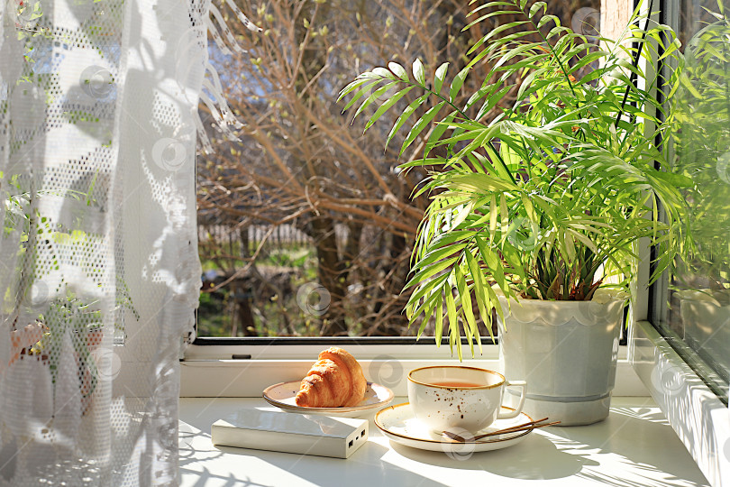 Скачать Чашка чая, круассан и домашняя пальма в горшке на солнечном окне.Концепция домашнего уюта и приветствия весны.Красивая цветочная композиция с экзотическим растением, выборочный подход. фотосток Ozero