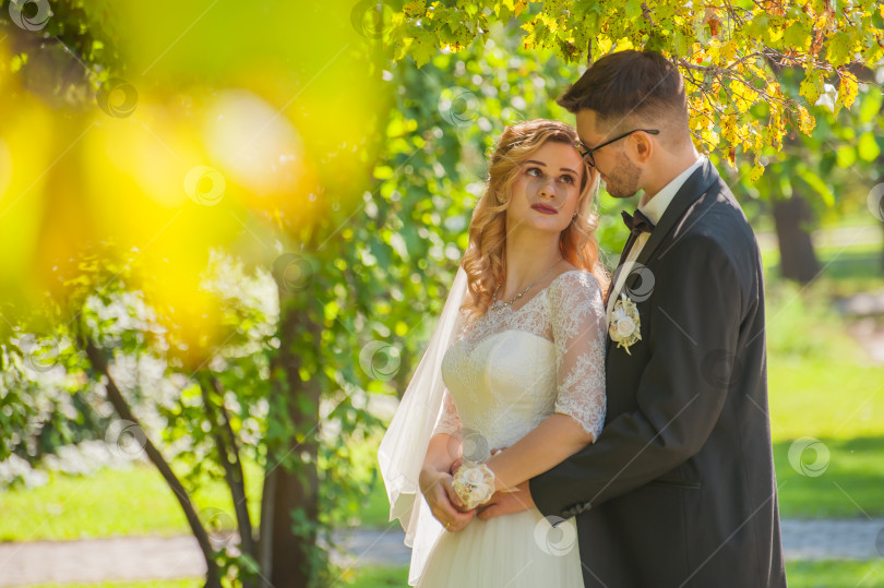 Скачать На свадебной фотосессии жених и невеста демонстрируют свои искренние чувства любви фотосток Ozero