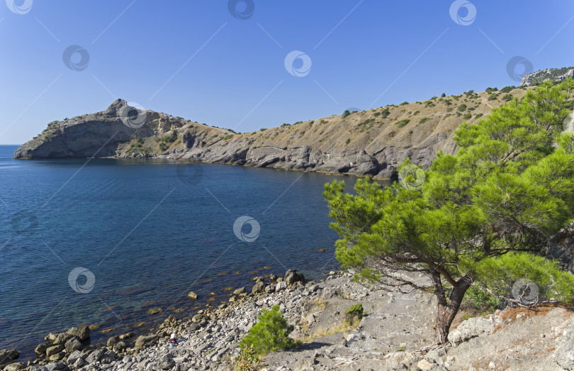 Скачать Небольшая бухта на побережье Черного моря. Крым. фотосток Ozero