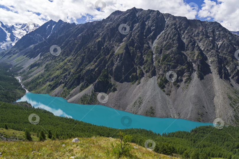 Скачать Озеро Шавло. Горный Алтай, Россия. фотосток Ozero