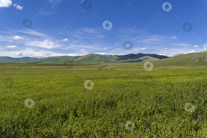 Скачать Горный перевал Орой. Алтай, Россия. фотосток Ozero