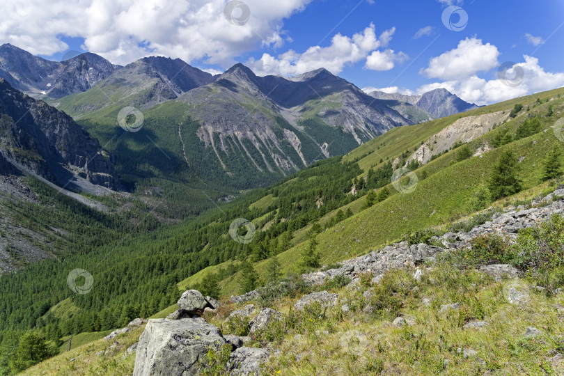 Скачать Горный Алтай, Россия. фотосток Ozero