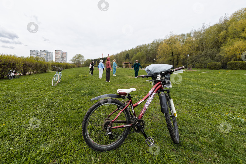 Скачать Велосипеды на поляне городского парка. фотосток Ozero