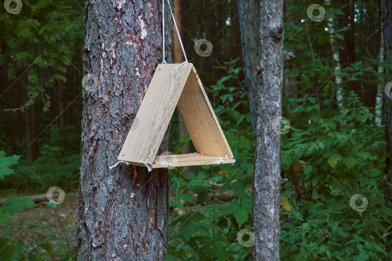 Скачать На дереве в лесу подвешена треугольная деревянная кормушка. Отношения между людьми и животными. Кормушка для птиц и грызунов фотосток Ozero