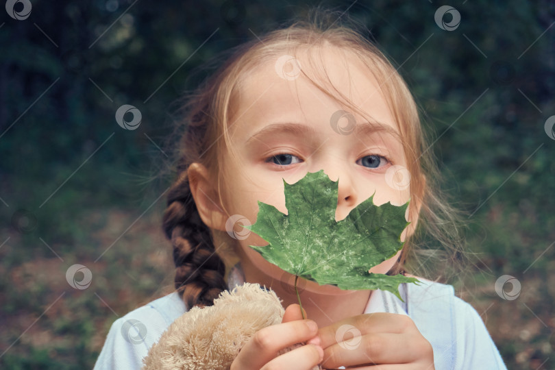 Скачать Девочка держит в руках зеленый кленовый лист и смотрит в камеру. Прогулки по парку, сбор листьев и приятное времяпрепровождение фотосток Ozero
