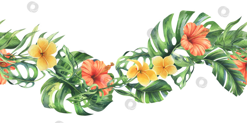 Скачать Тропические пальмовые листья, монстера и цветы плюмерии, гибискуса, яркие и сочные. Ботаническая иллюстрация, выполненная акварелью от руки. Бесшовная рамка изолирована от фона фотосток Ozero