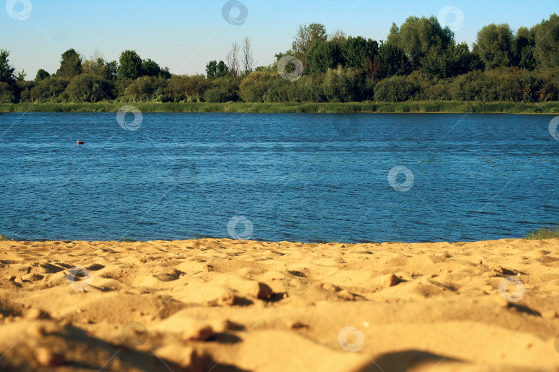 Скачать Река в летнее время, на переднем плане речной песок, на заднем плане кусты, деревья, синева фотосток Ozero
