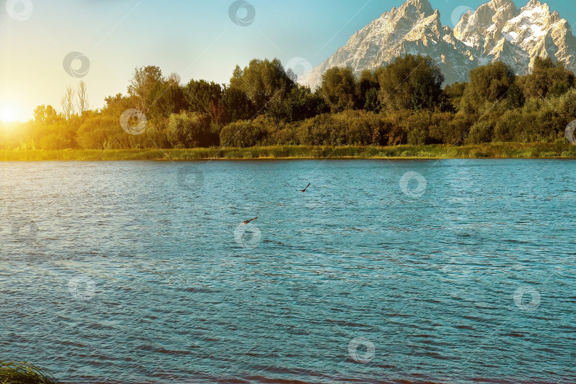 Скачать Река в летний период времени на фоне зеленых кустов и деревьев, голубого неба с кучевыми облаками. Летний речной пейзаж фотосток Ozero