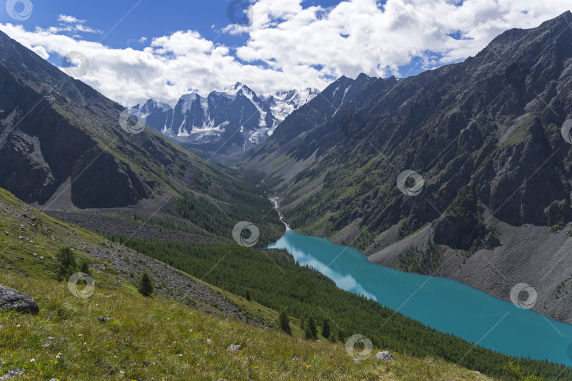 Скачать Озеро Шавло. Горный Алтай, Россия. фотосток Ozero