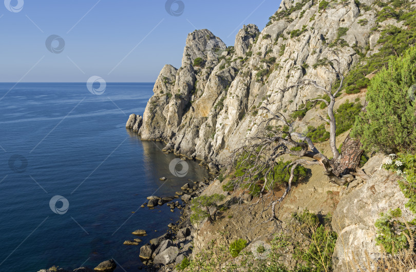 Скачать Скалы на побережье Черного моря. фотосток Ozero