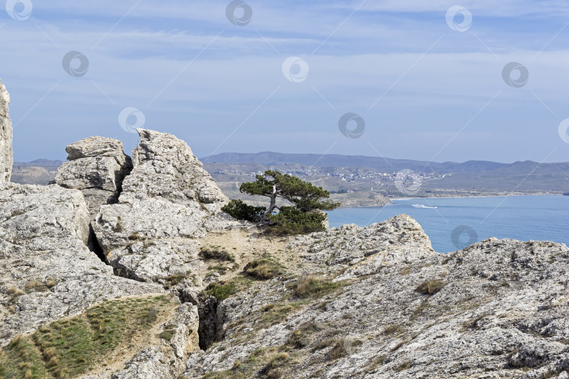 Скачать Глубокая трещина в скале. Крым фотосток Ozero