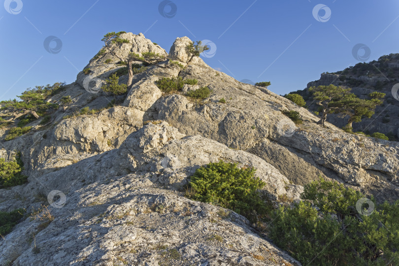 Скачать Вершина горы, освещенная утренним солнцем. фотосток Ozero