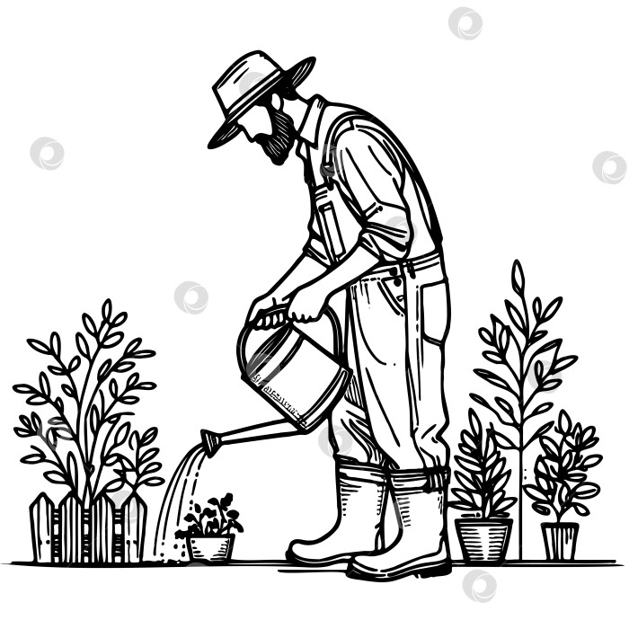 Скачать мужчина в шляпе и комбинезоне поливает растения фотосток Ozero