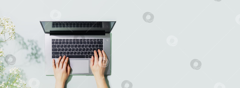 Скачать Женские руки работают за ноутбуком на синем фоне с цветами фотосток Ozero