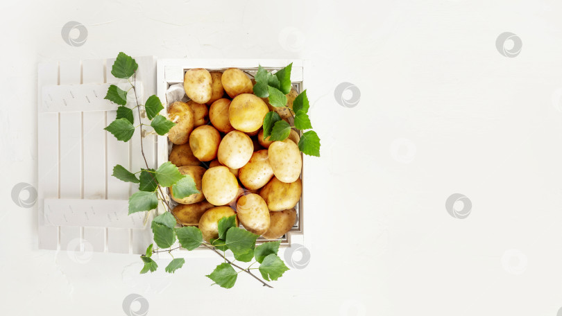 Скачать Фермерский картофель в белом деревянном ящике на белом фоне с пространством для копирования фотосток Ozero