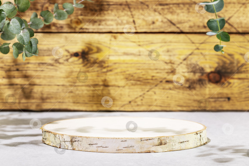 Скачать Белая пустая витрина для товаров на деревянном фоне с листьями эвкалипта фотосток Ozero