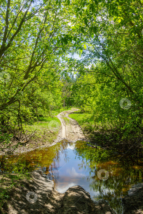 Скачать Небесное отражение фотосток Ozero