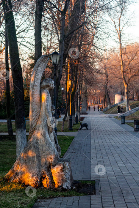 Скачать Струковский сад фотосток Ozero