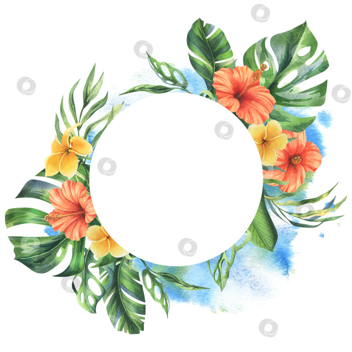 Скачать Тропические пальмовые листья, монстера и цветы плюмерии, гибискуса, яркие и сочные. Ботаническая иллюстрация, выполненная акварелью от руки. Шаблон, обрамляющий круг, круглая фигура, выделяющаяся на фоне фотосток Ozero