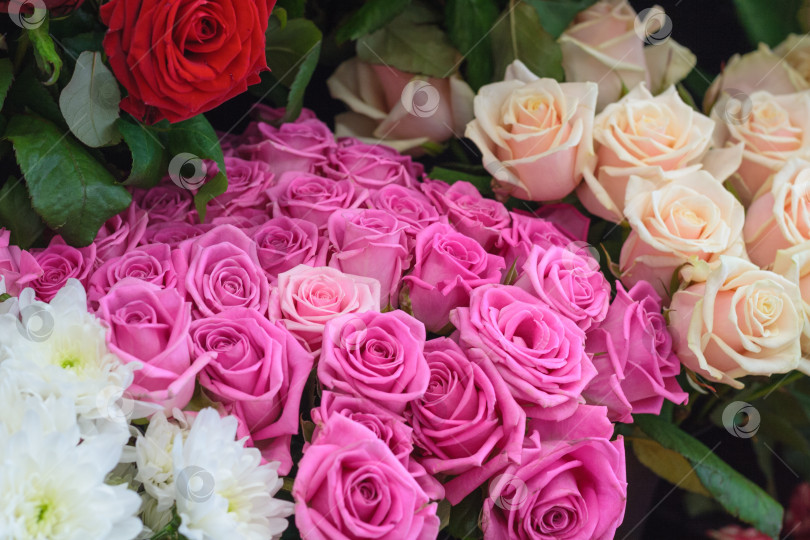 Скачать Ряд букетов из роз и хризантем в магазине market фотосток Ozero