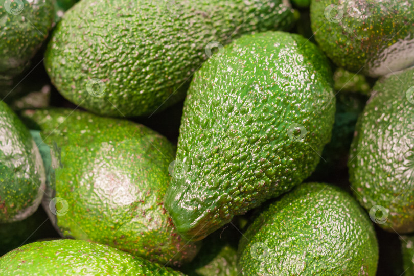 Скачать Груда авокадо на рынке (фон, текстура) фотосток Ozero