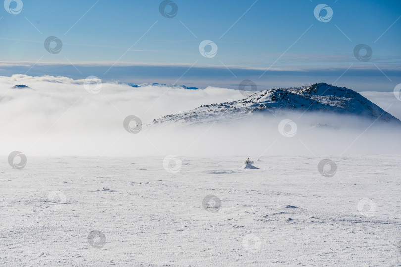 Скачать В туманном одеянии фотосток Ozero