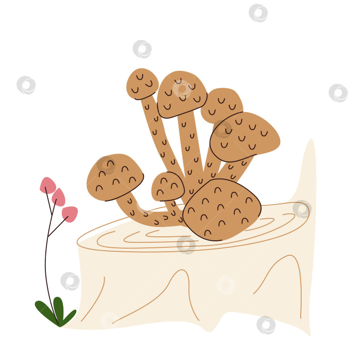 Скачать Кучка коричневых грибов на пне фотосток Ozero