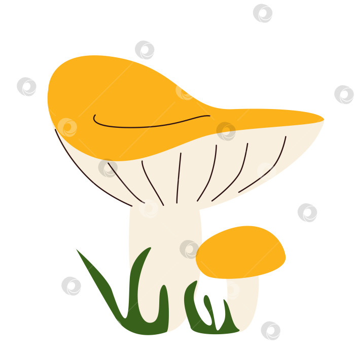 Скачать Съедобные лесные грибы с желтыми шляпками фотосток Ozero