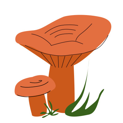 [object Object] undefined