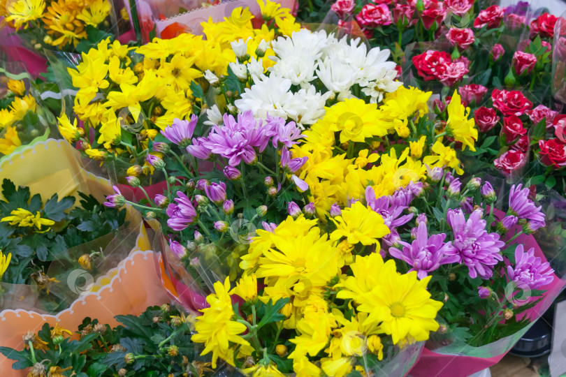 Скачать Вид разнообразного ассортимента букетов из разноцветных хризантем и роз в магазине фотосток Ozero