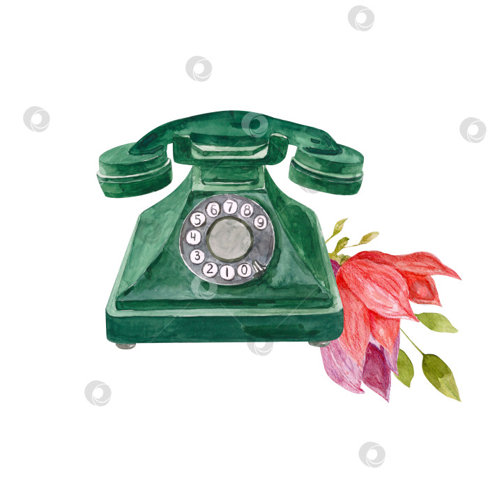 Скачать Акварельная композиция в виде ретро-телефона с проводом, декоративными зелеными веточками и цветами магнолии, выполненная от руки. Классический винтажный телефон фотосток Ozero